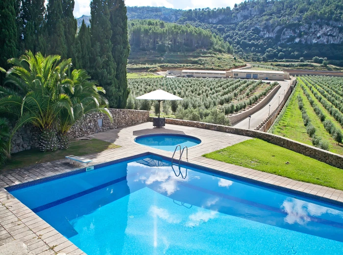 Exquisite Manor House amidst the Tramuntana Valley in Puigpunyent, Majorca-19