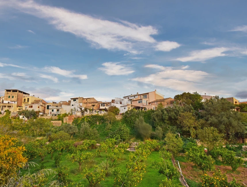 Uniek dorpshuis met prachtig uitzicht in Alaró-1