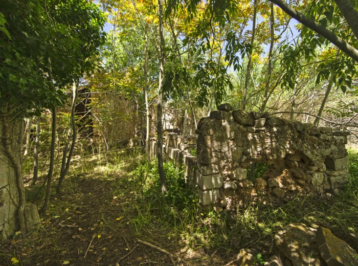 Maison de campagne historique à restaurer à Binissalem-7