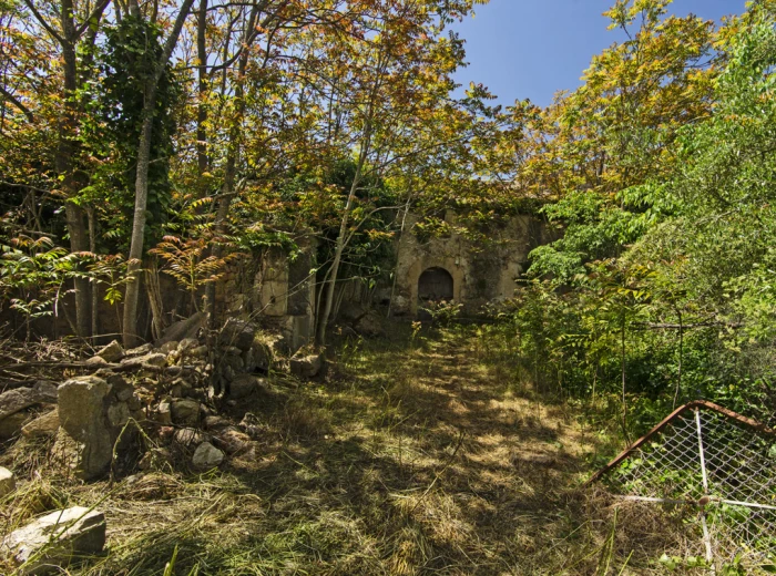 Maison de campagne historique à restaurer à Binissalem-6