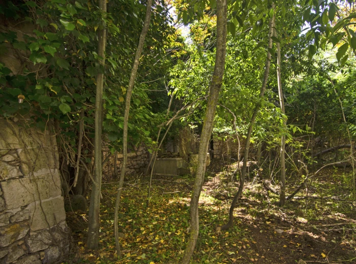 Historiskt lanthus att restaurera i Binissalem-9