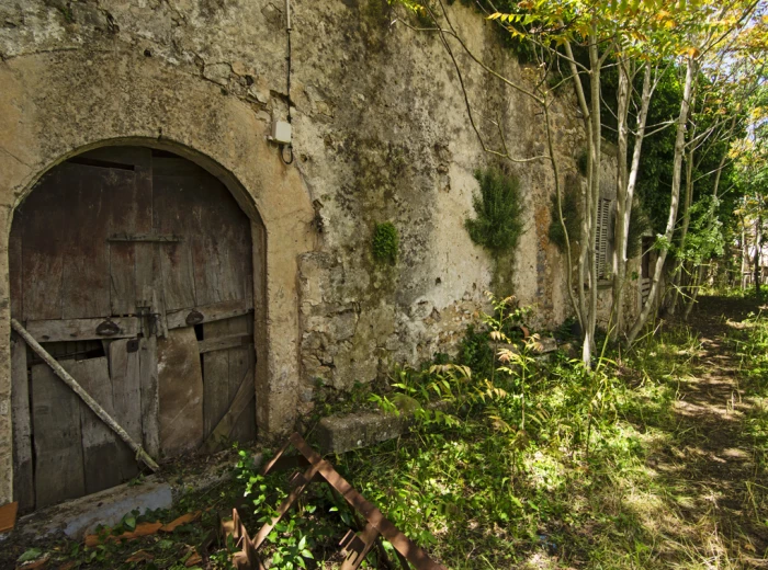 Historisches Landhaus zum restaurieren in Binissalem-3