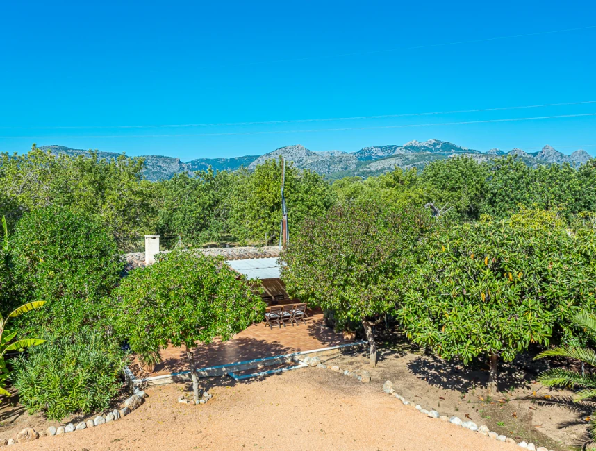 Bella casa di campagna con fattoria di avocado a Son Sardina, Palma di Maiorca-15