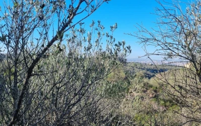 Building plot with stunning views of Palma
