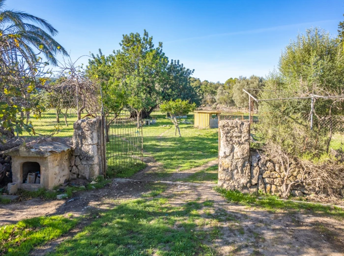 Beautiful old finca with renovation project very close to Pollensa-11