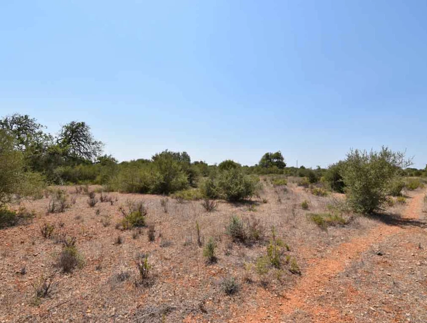 Building plot with license close to Llucmajor-4