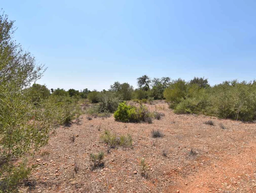 Building plot with license close to Llucmajor-2