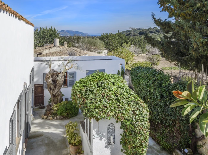 Excellent country home close to Pollensa-11