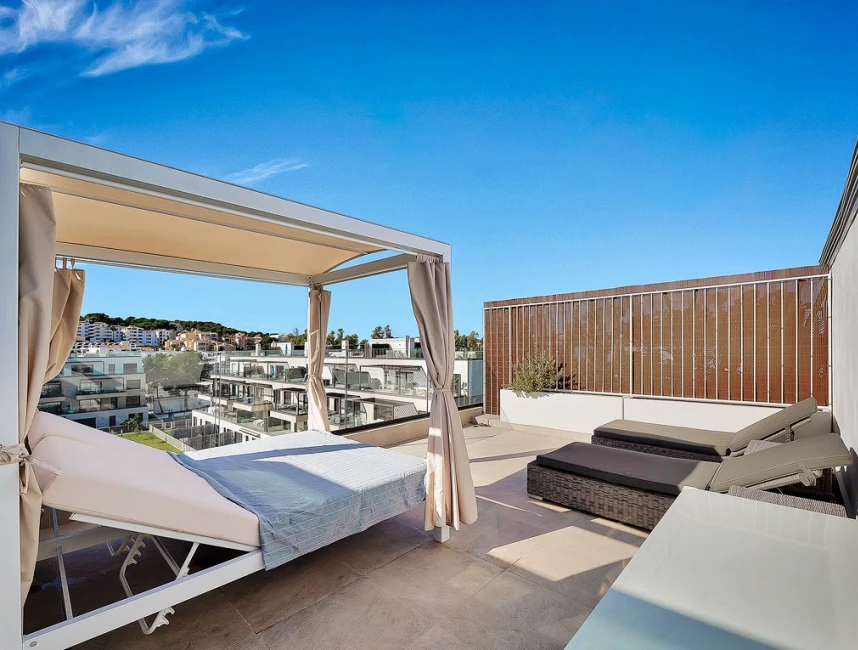 Penthouse in nice community with private roof terrace-14