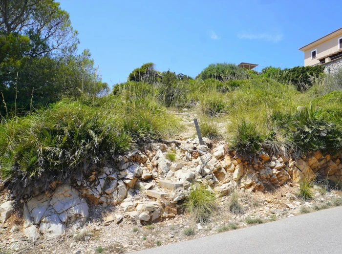 Baugrundstück mit Meer- und Panoramablick in Els Pelats, Cala Ratjada-4