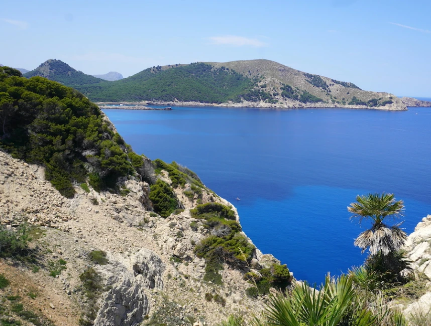 Bouwperceel met zee- en panoramisch uitzicht in Els Pelats, Cala Ratjada-2