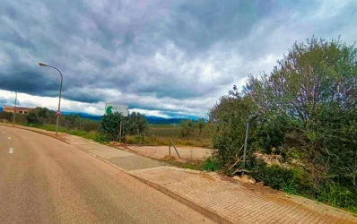 Plot with views in Son Gual