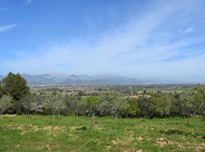 Two urban plots with lovely views in Santa Eugenia-1