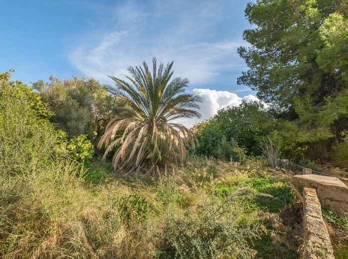 Property with adjoining plot, Ciudad Jardín  - Palma de Mallorca-2
