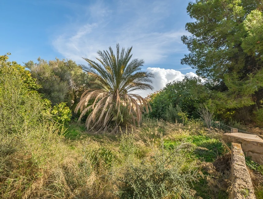 Fastighet med angränsande tomt, Ciudad Jardín - Palma de Mallorca-2