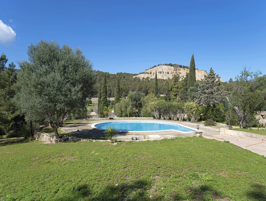 Authentic mallorcan country house near Palma-4
