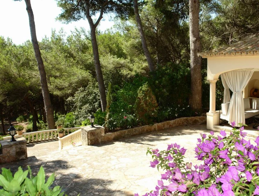 " Puig del Aguila ". Holiday Rental in Formentor-2