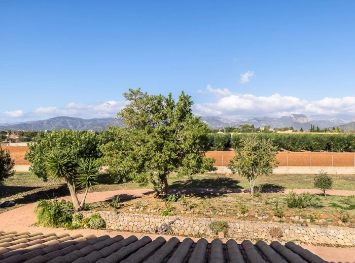 Well-maintained country house with pool and mountain views in Consell-16