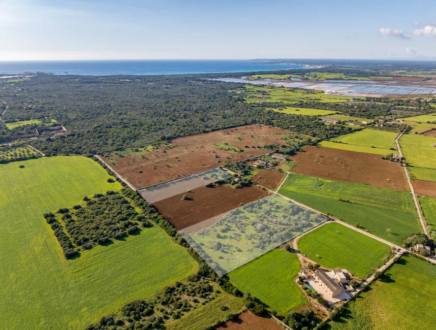 Plot with building licence near Ses Salines-1