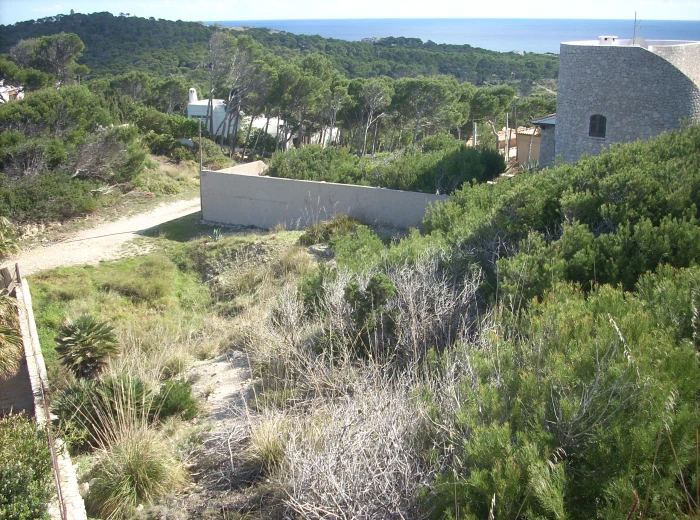 plot of land with stunning sea view in Cala Ratjada-2