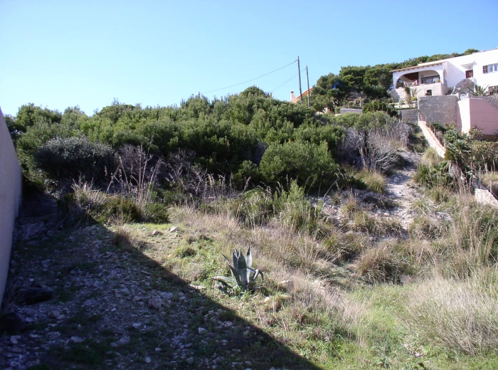plot of land with stunning sea view in Cala Ratjada-3