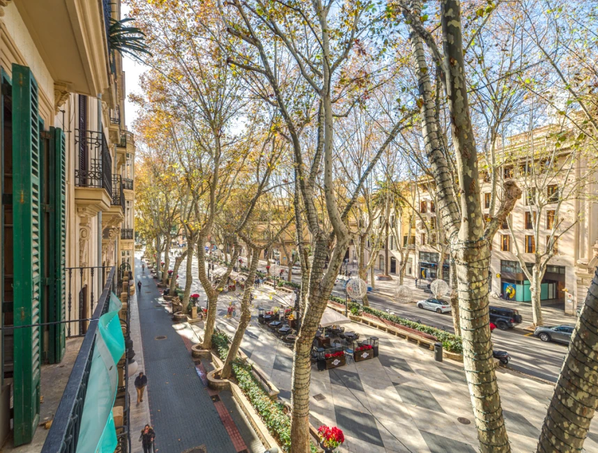 Spacious Flat to renovate with balconies next to Borne - Palma de Mallorca, Old Town-11