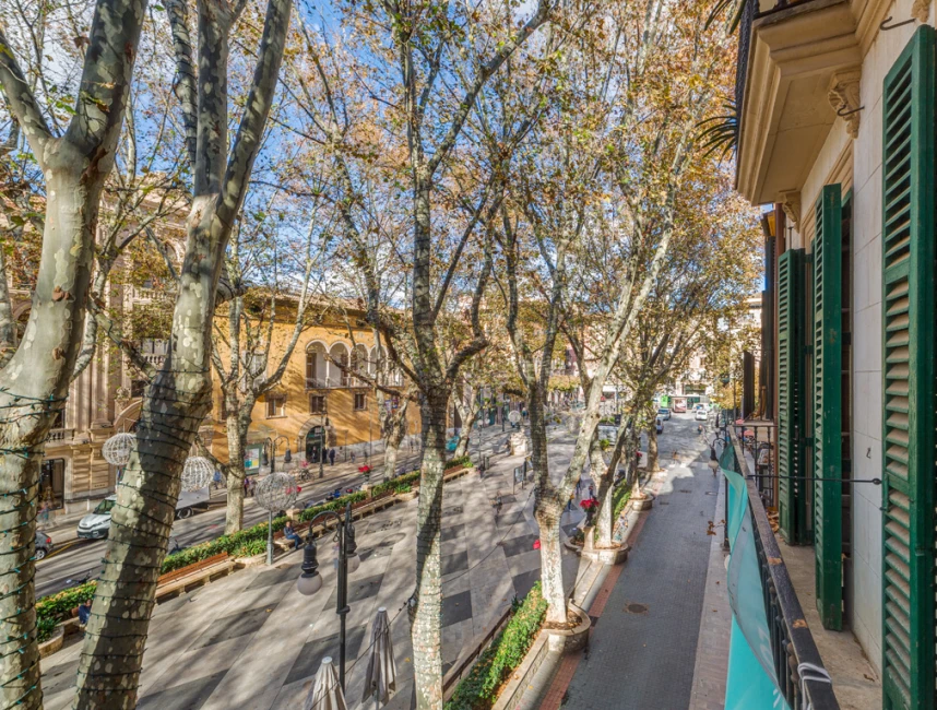 Wohnung zum Renovieren mit Balkonen neben Borne - Palma de Mallorca, Altstadt-2
