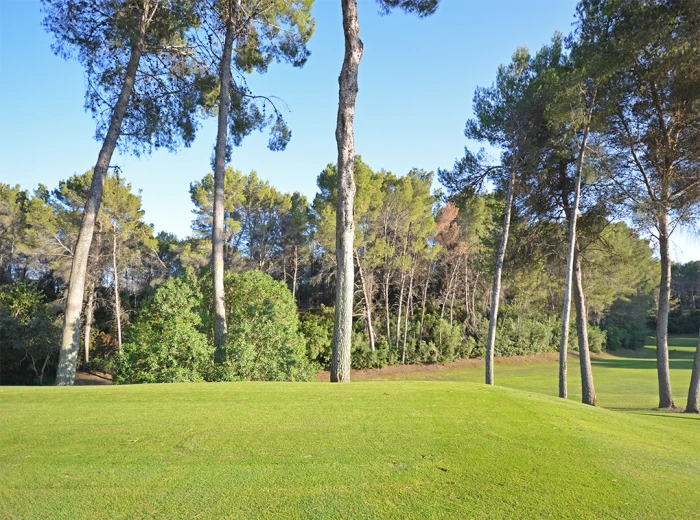 Plot in first line to the Son Vida golf course-4