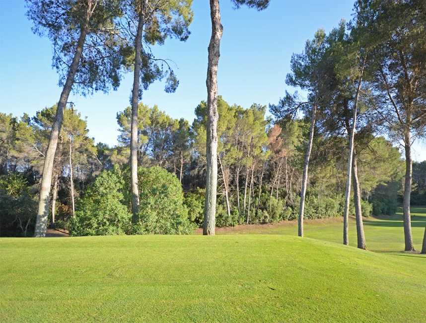 Grundstück in 1. Linie zum Son Vida Golfplatz-4