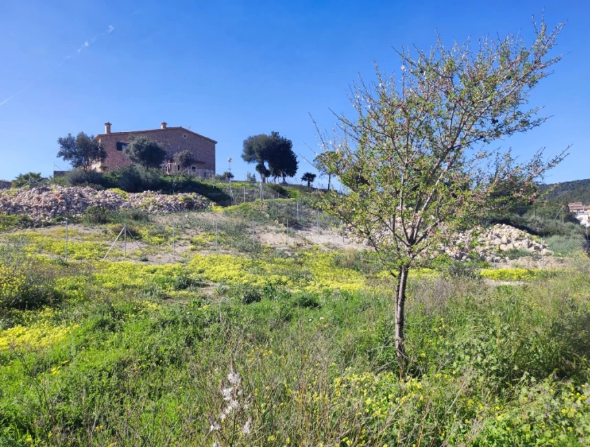 Building plot in Calvia with great views-1