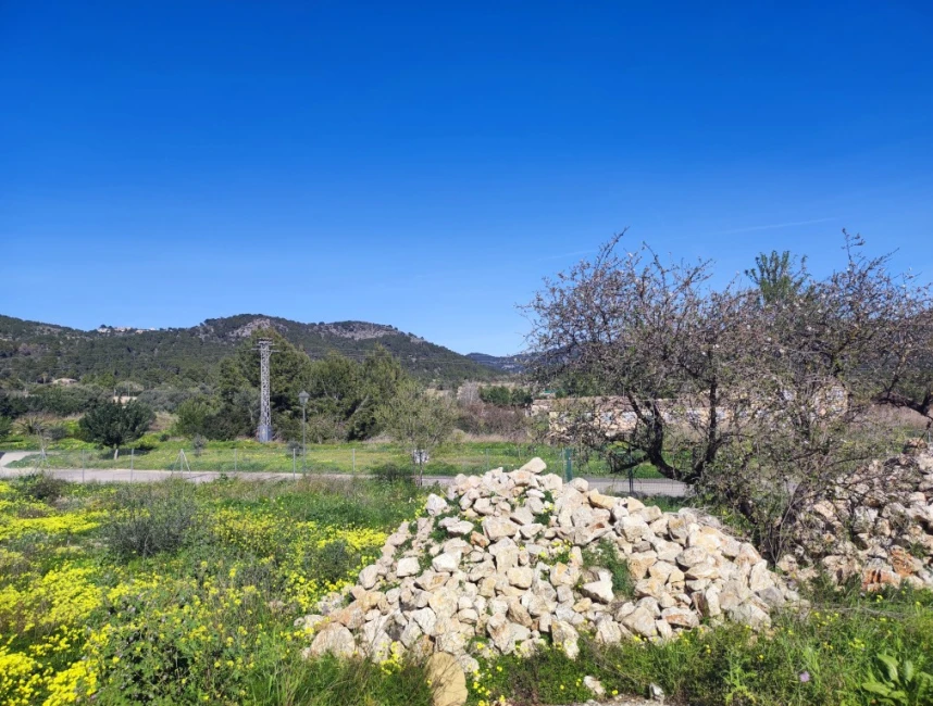 Building plot in Calvia with great views-2