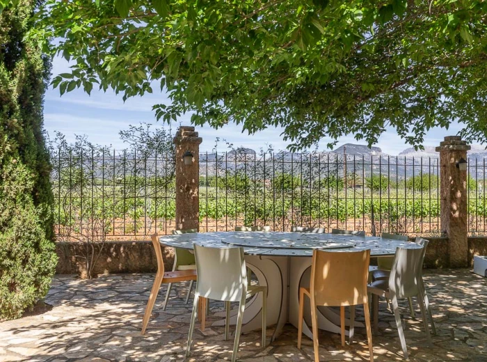 Finca with vineyard and holiday rental license-15
