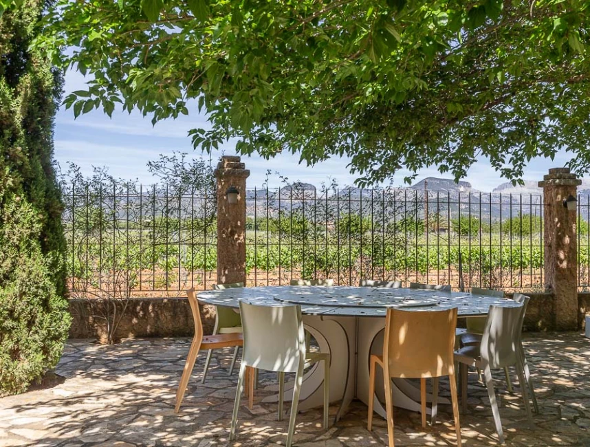 Finca with vineyard and holiday rental license-15