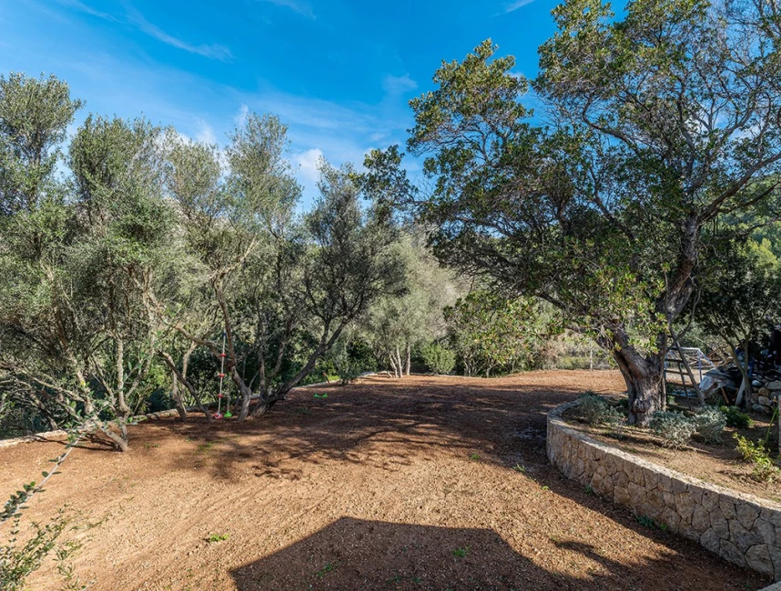 Charming Finca on a large plot-17