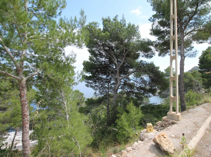 Plot with excellent sea views in Canyamel-5