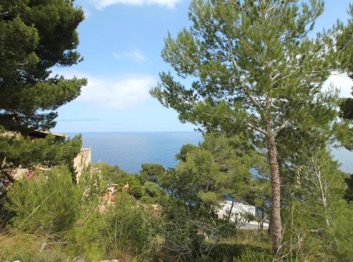 Plot with excellent sea views in Canyamel-3