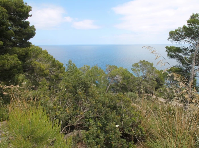 Plot with excellent sea views in Canyamel-1