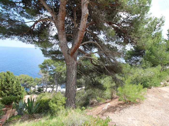 Plot with excellent sea views in Canyamel-2