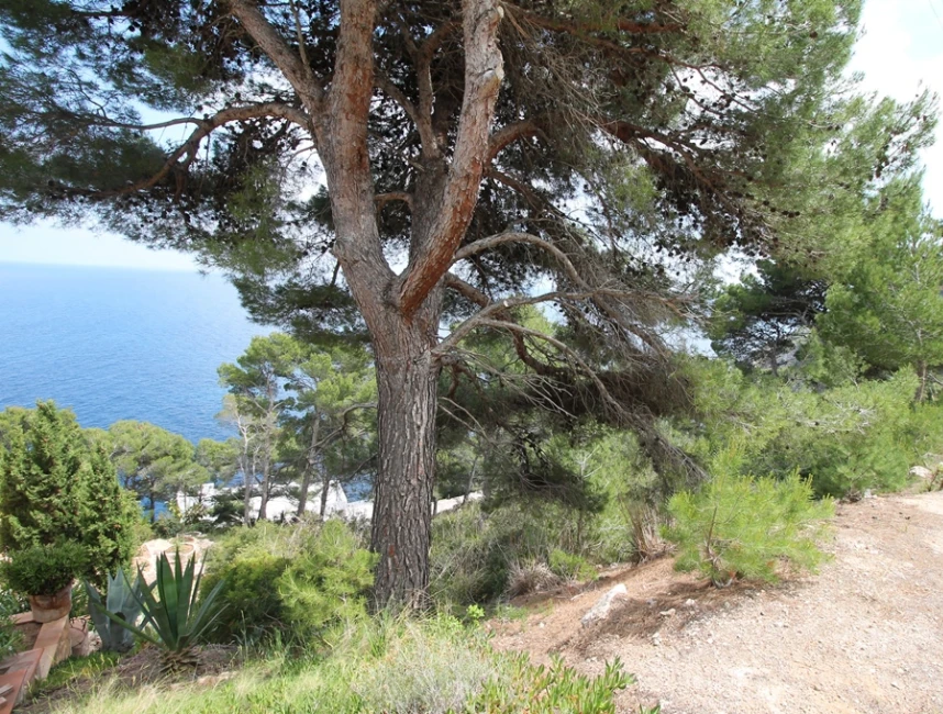 Plot with excellent sea views in Canyamel-2