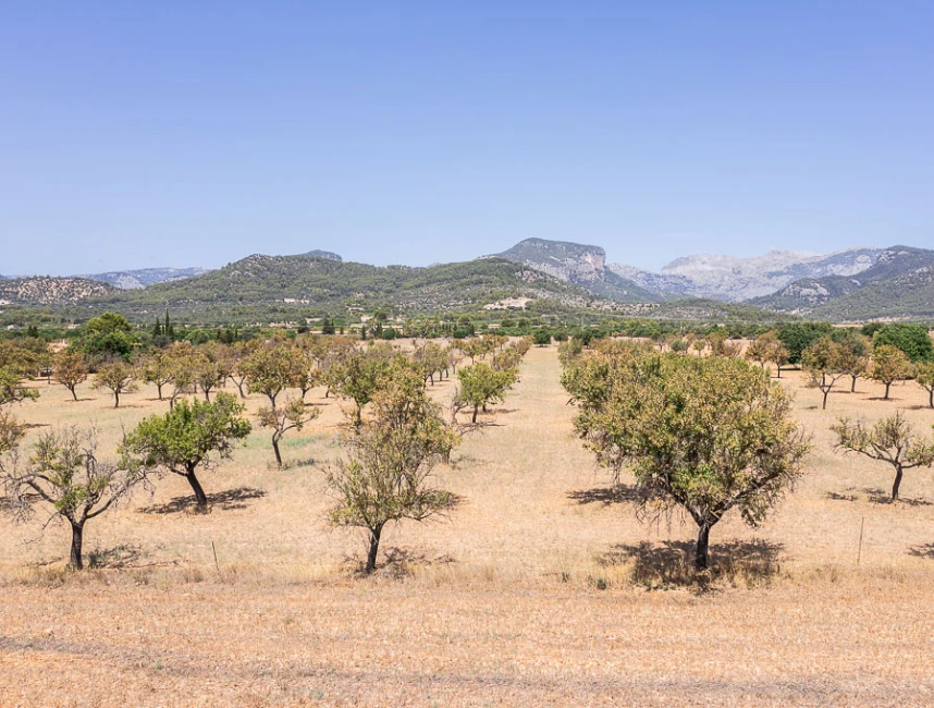Plot with licence and amazing views of the Tramuntana mountains-2