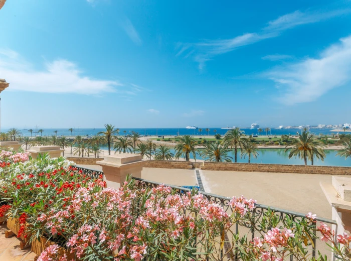 Planta Noble amb terrassa amb vista al mar i pàrquing - Palma de Mallorca, Casc Antic-2