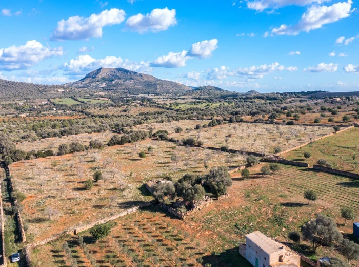 Finca plot with project and panoramic views-14
