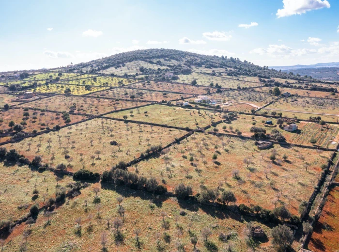 Finca plot with project and panoramic views-12