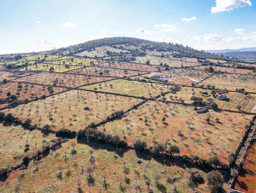 Finca plot with project and panoramic views-12