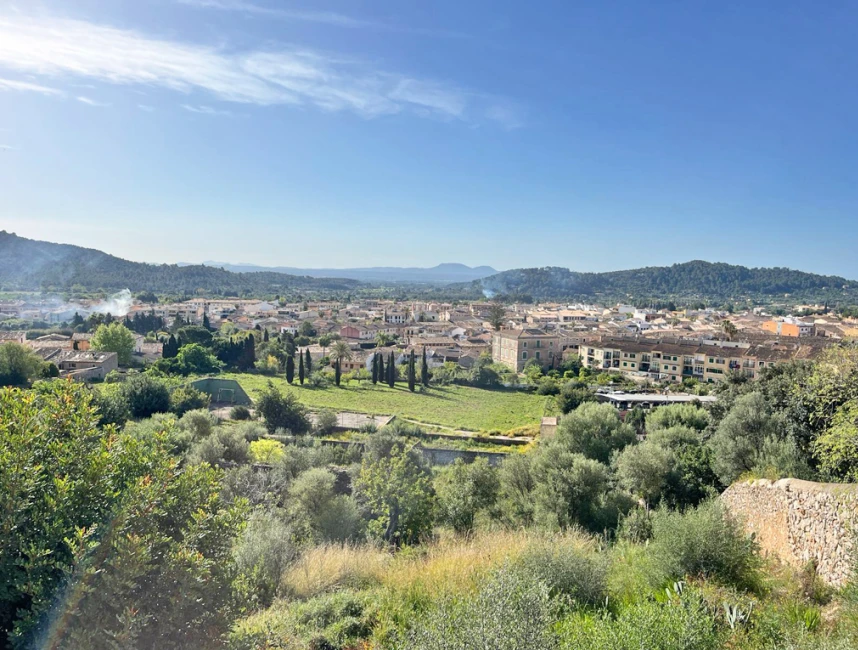 Exclusive plot with license in Alaró-1