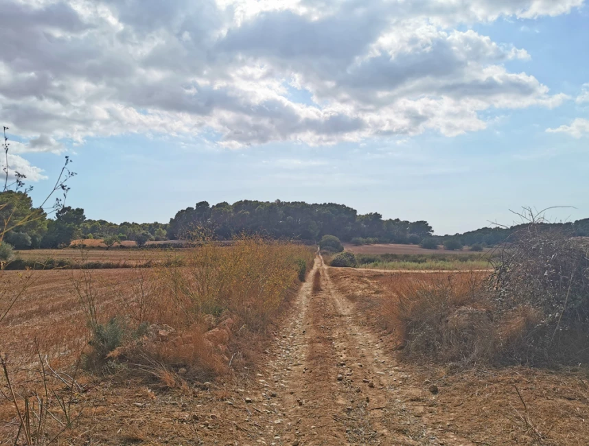 Ampio terreno edificabile nella natura di Algaida-8