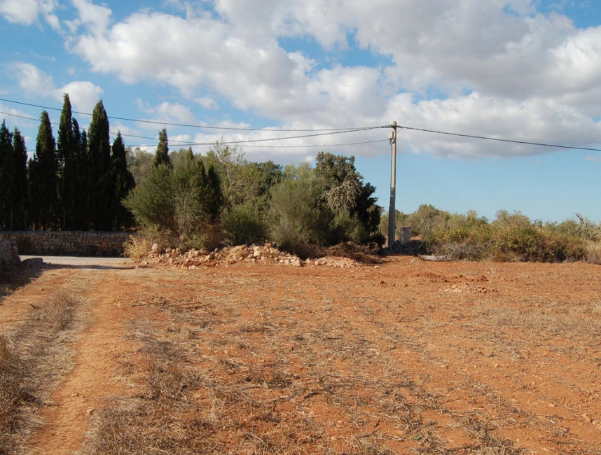 Dos terrenys contigus amb vistes panoràmiques a Algaida-5