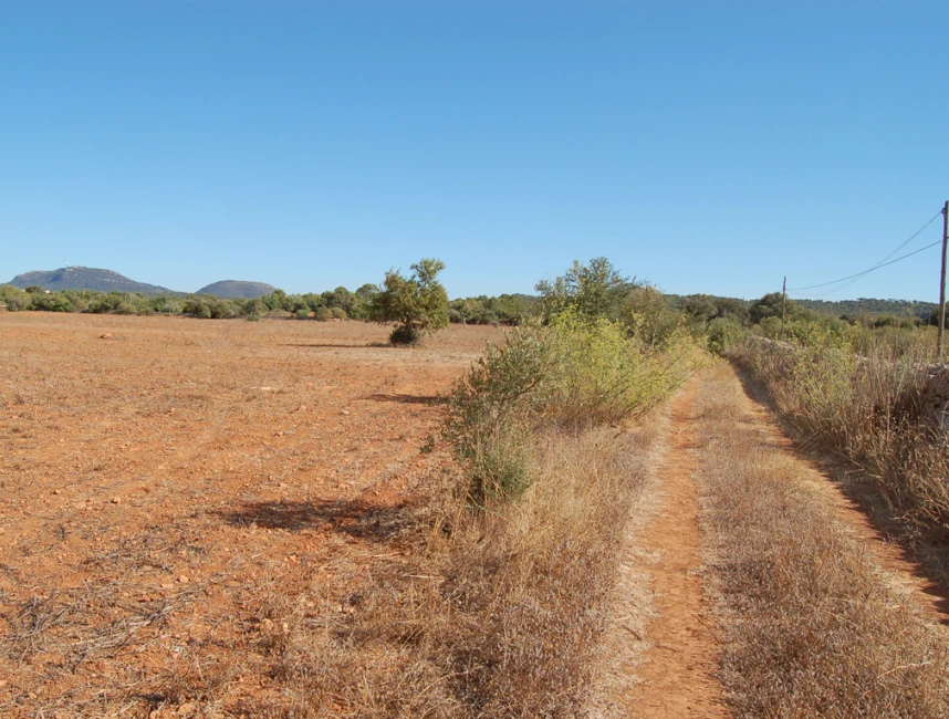 Dos terrenys contigus amb vistes panoràmiques a Algaida-3