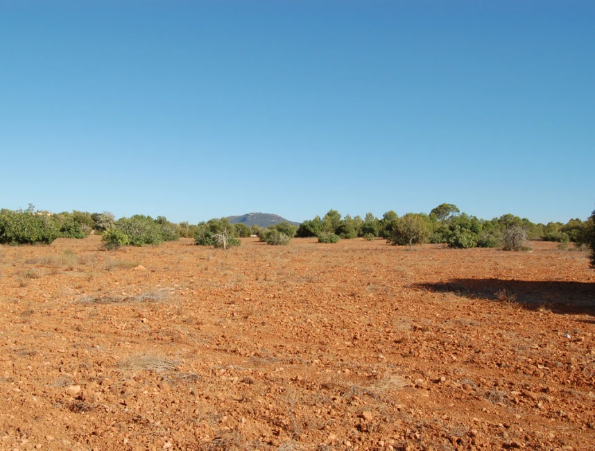 Dos terrenys contigus amb vistes panoràmiques a Algaida-2