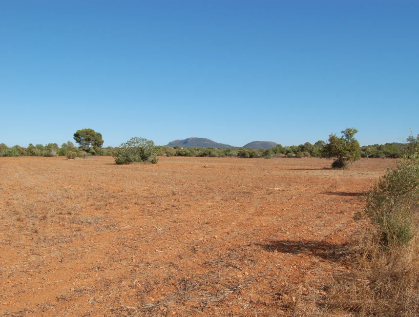 Dos terrenos contiguos con vistas panorámicas en Algaida-1